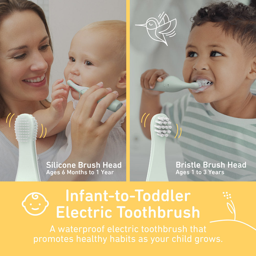 PureBaby Infant-to-Toddler Electric Toothbrush - Sage Green - Image 2