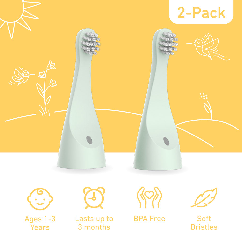 PureBaby Infant-to-Toddler Electric Toothbrush (PEBBYBSH-SG) - 2-Pack Replacement Bristle Brush Heads - Image 3